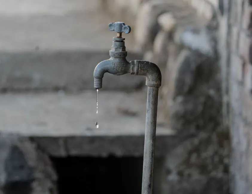 Plumbing Leak Mistaken for Drainage, Lakeview
